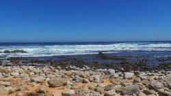 Cape of Good Hope02